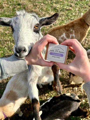 Goat Milk Soap vs. Regular Soap (And Why You'll Never Look at Your Soap the Same Again) - Faith Farms Goat Milk Soap