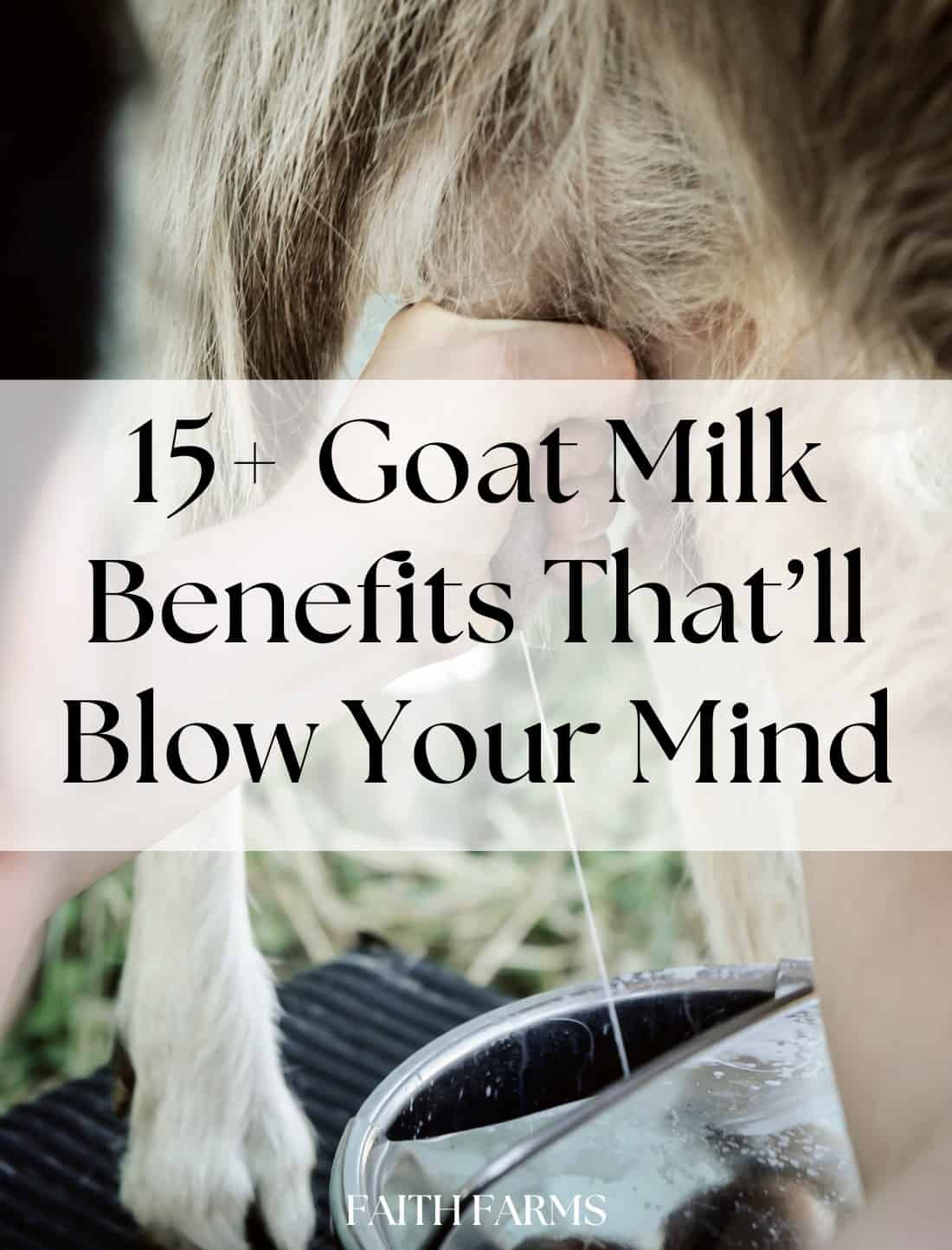 15+ Goat Milk Benefits That'll Blow Your Mind | Faith Farms