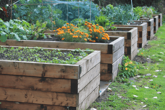 15 Beautiful and Functional Homesteading Garden Layout Ideas - Faith Farms Goat Milk Soap