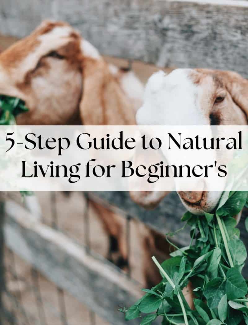 5-Step Guide to Natural Living for Beginners - Faith Farms Goat Milk Soap