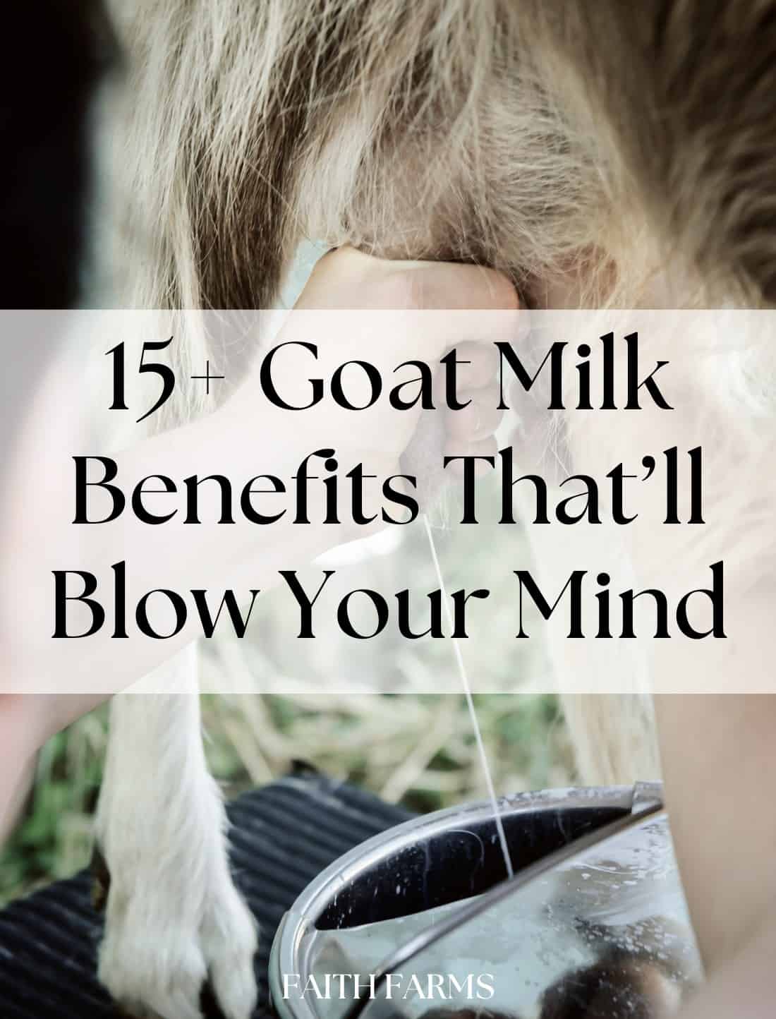 15+ Goat Milk Benefits That'll Blow Your Mind