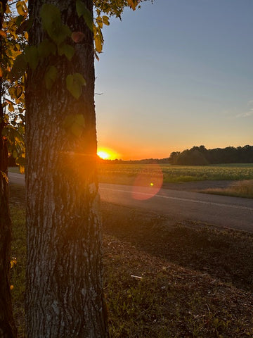 Description of image