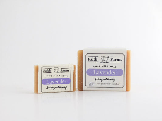 Two bars of Faith Farms lavender goat milk soap on a white background